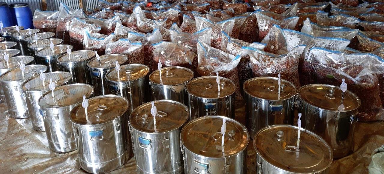 Worka Sakaro Natural: Special Release Anaerobic from Ethiopia.