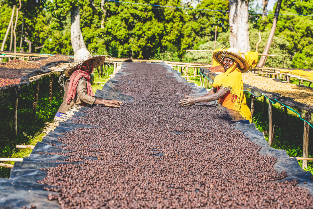 Keramo Station: Ethiopian Glory