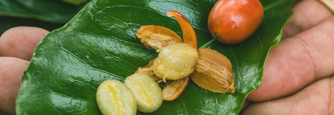 Pink Bourbon Coffee: Beautiful cherry and beautiful in the cup.