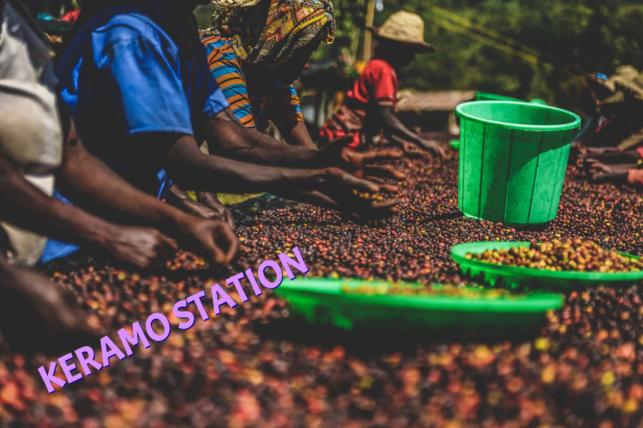 Pour Over Brewing Made Simple  featuring Keramo Station - Ethiopia