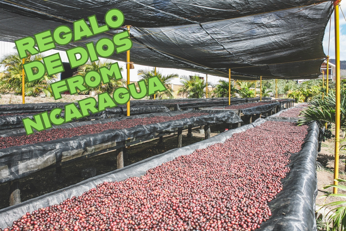 Natural Colombian Beauty - Regalo De Dios