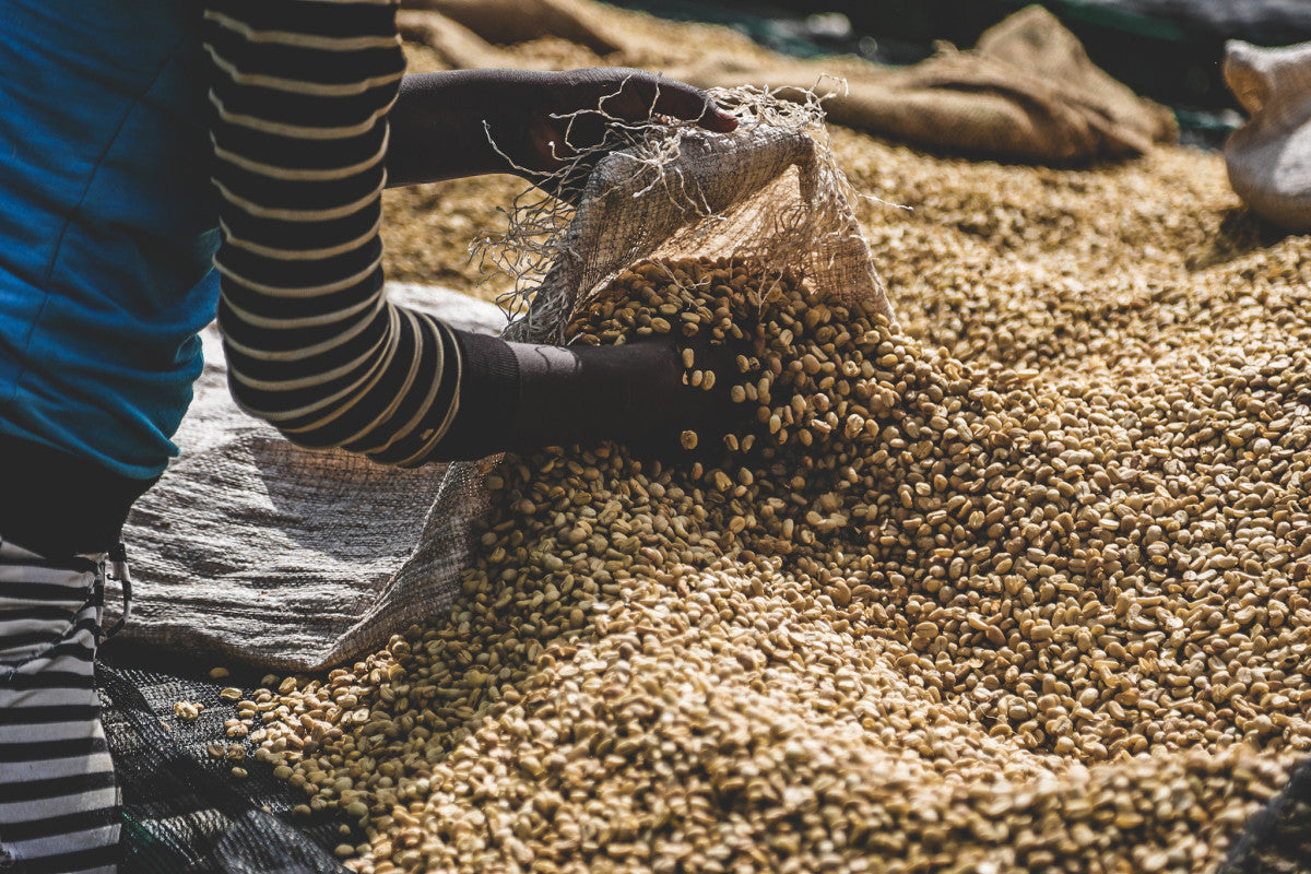 COFFEE - SINGLE ORIGIN