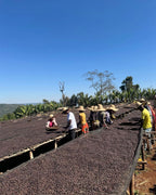 Deri Kidame - Ethiopia