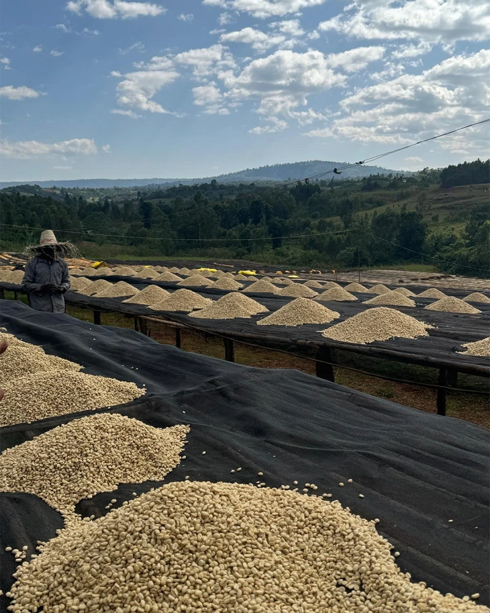 Worka Sakaro - Ethiopia