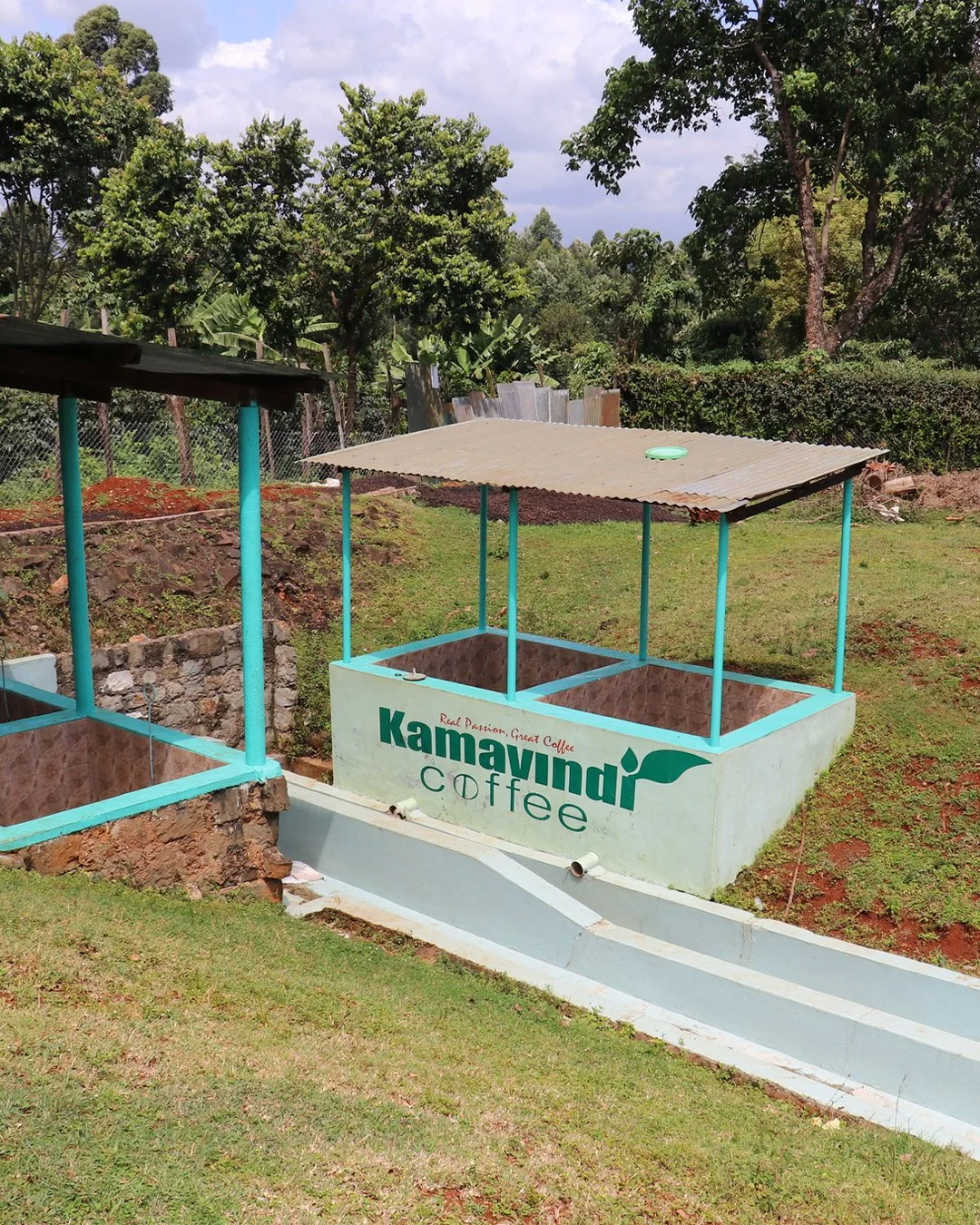Kamathura Washed - Kenya