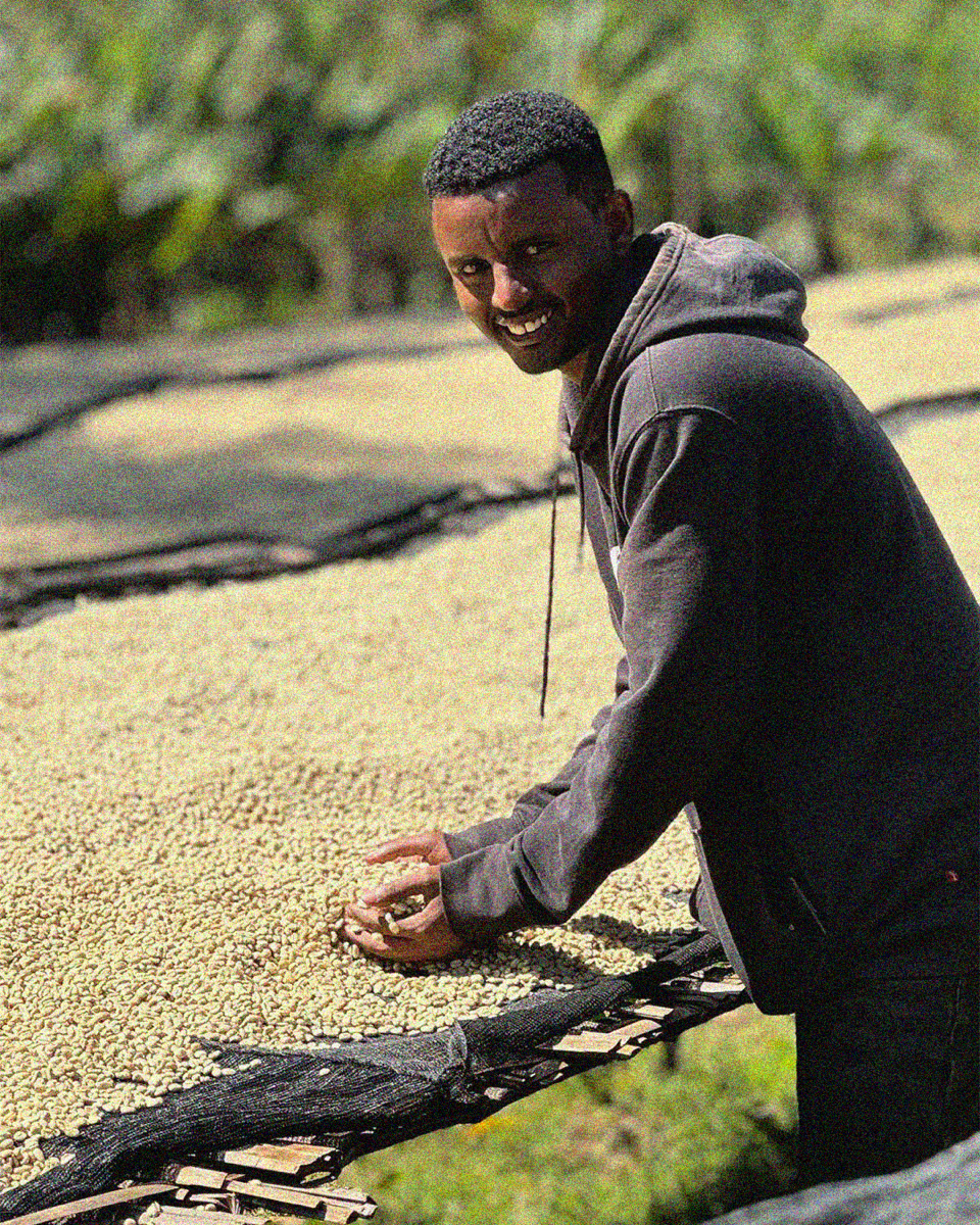 Danche Village - Ethiopia