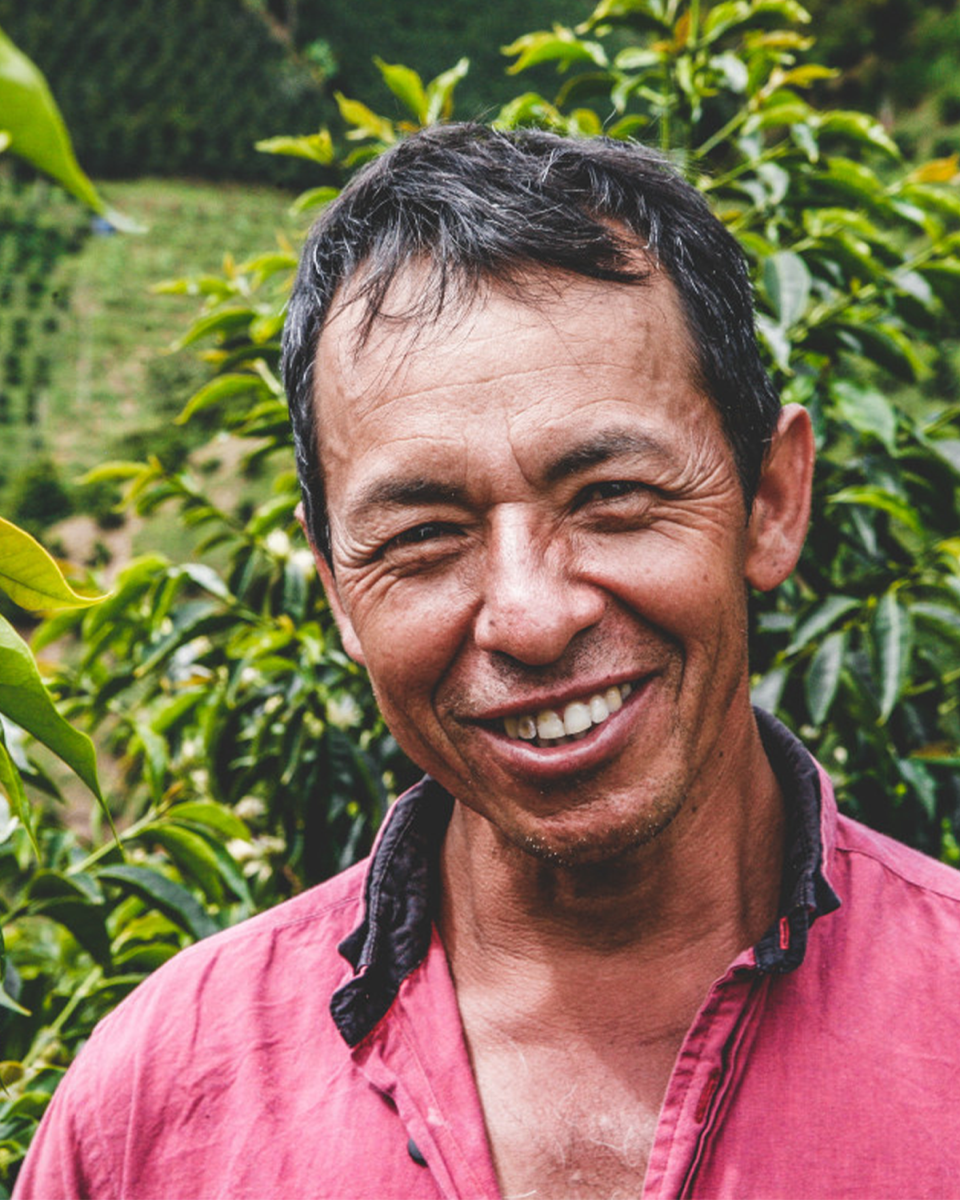 Finca Lote 3 - Colombia