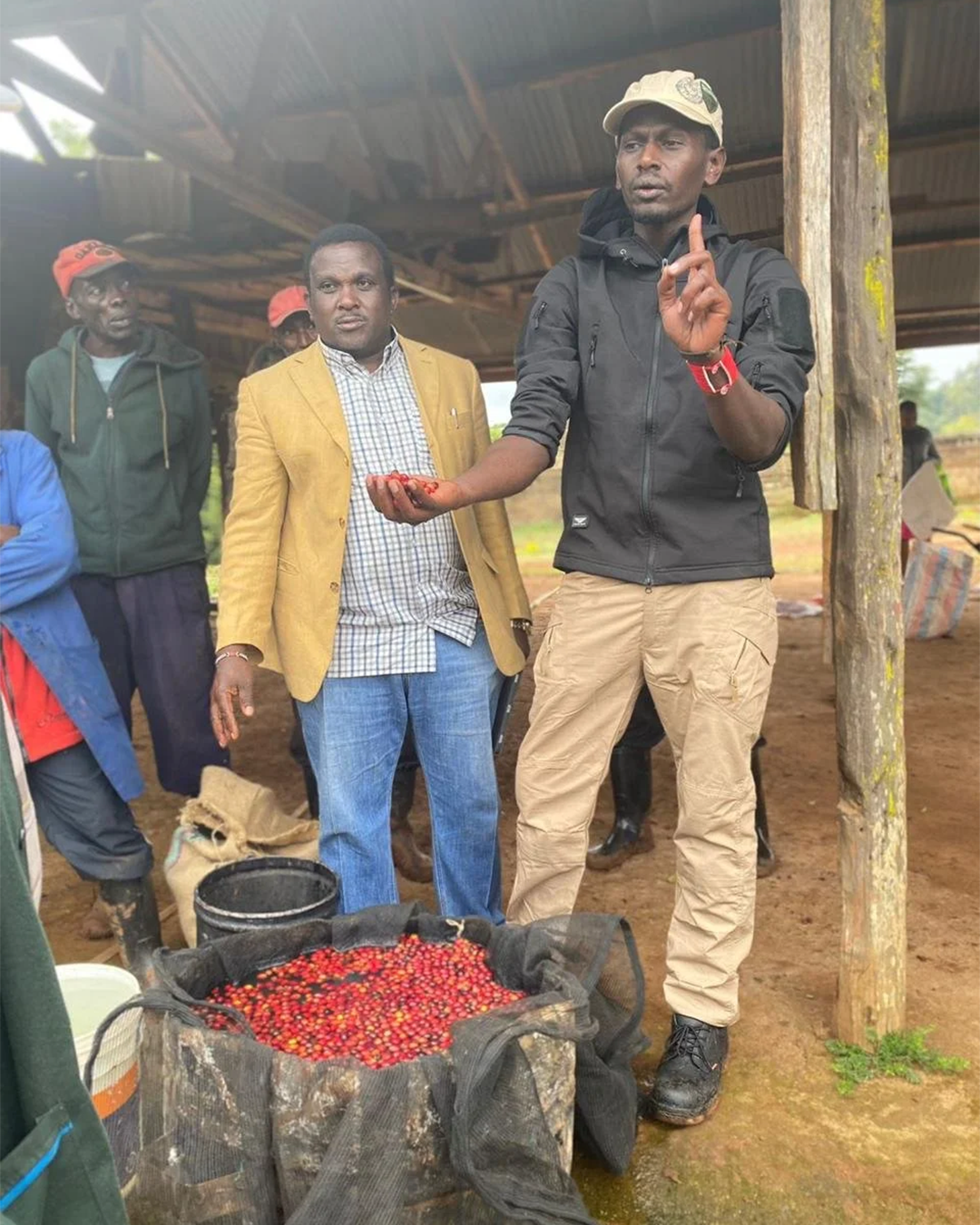 Kamathura Washed - Kenya