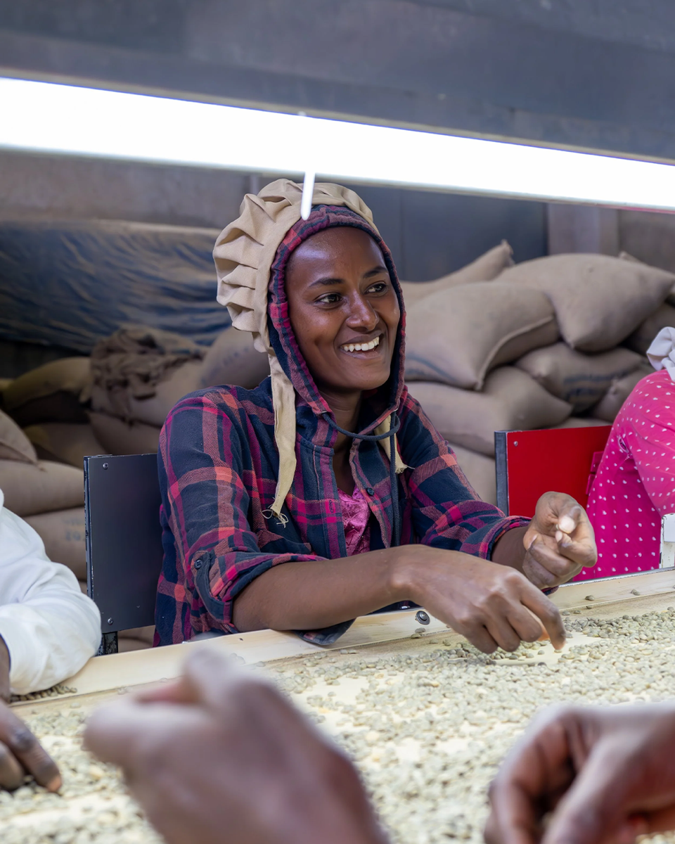 Worka Sakaro - Ethiopia