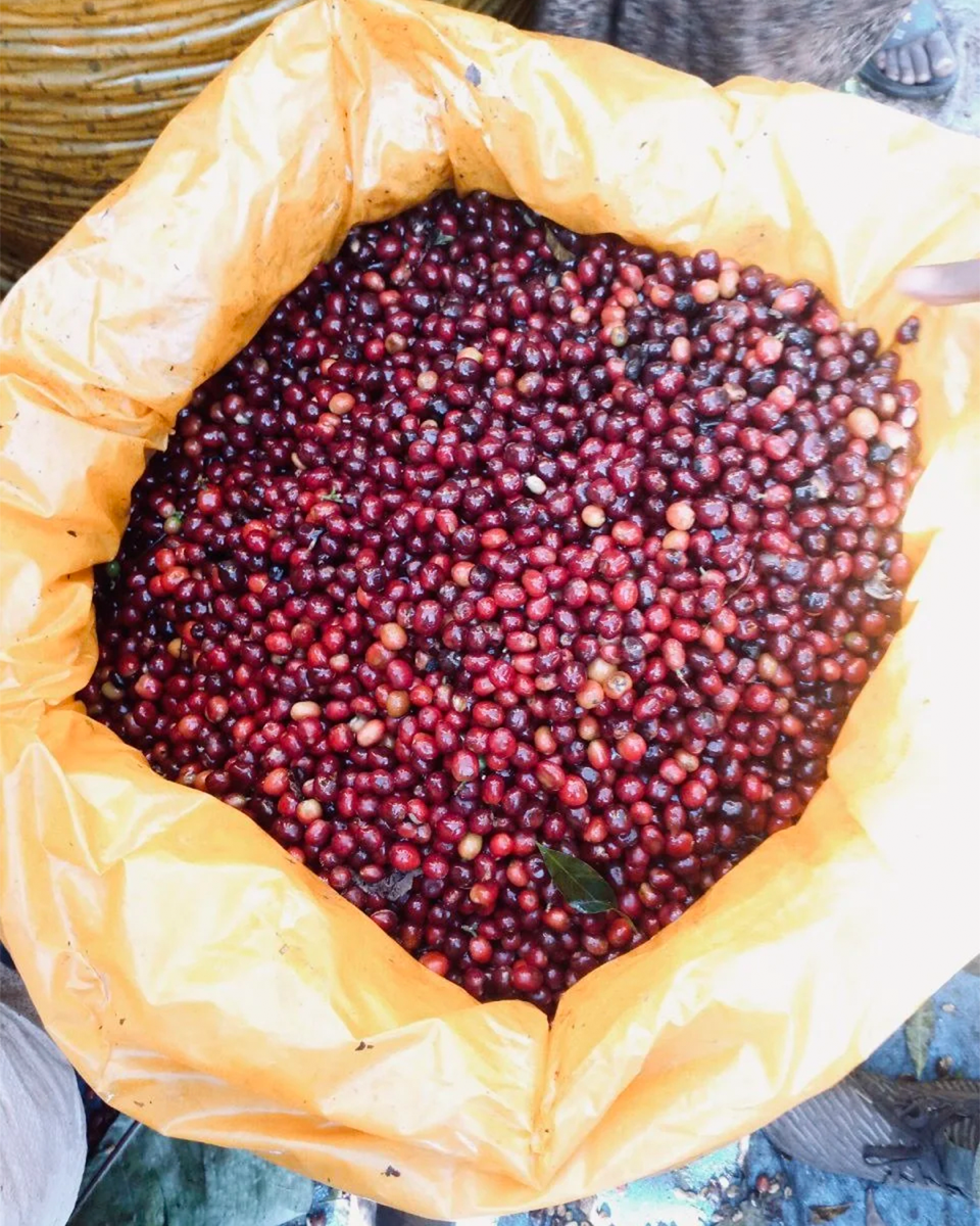 Banko Gotiti Station