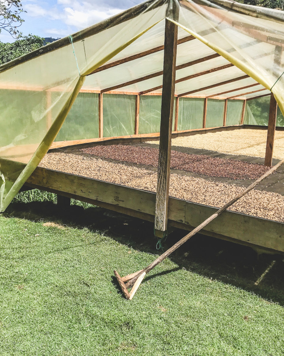 Finca La Pradera - Colombia