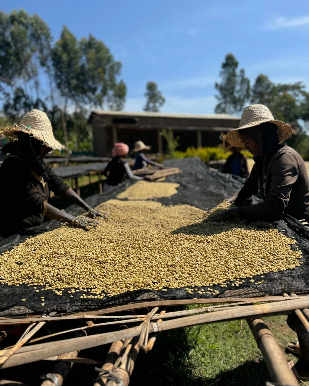 Shantawene Station - Ethiopia