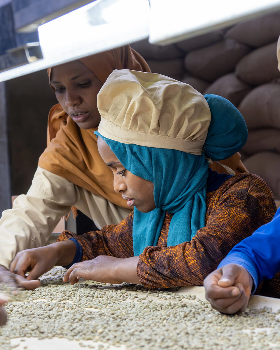 Hamasho Honey - Ethiopia