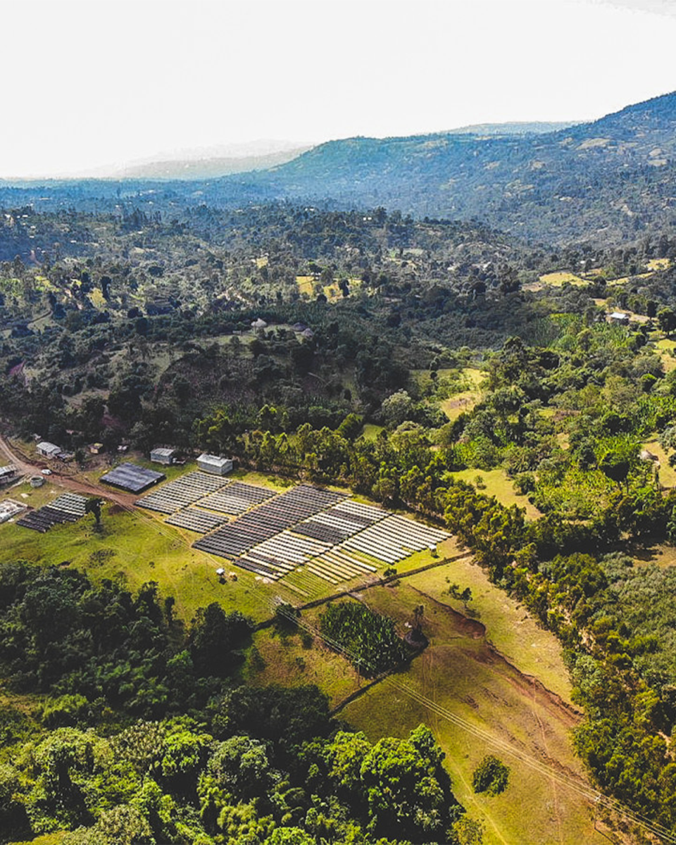 Bochesa Natural - Ethiopia