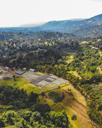 Bochesa Natural - Ethiopia