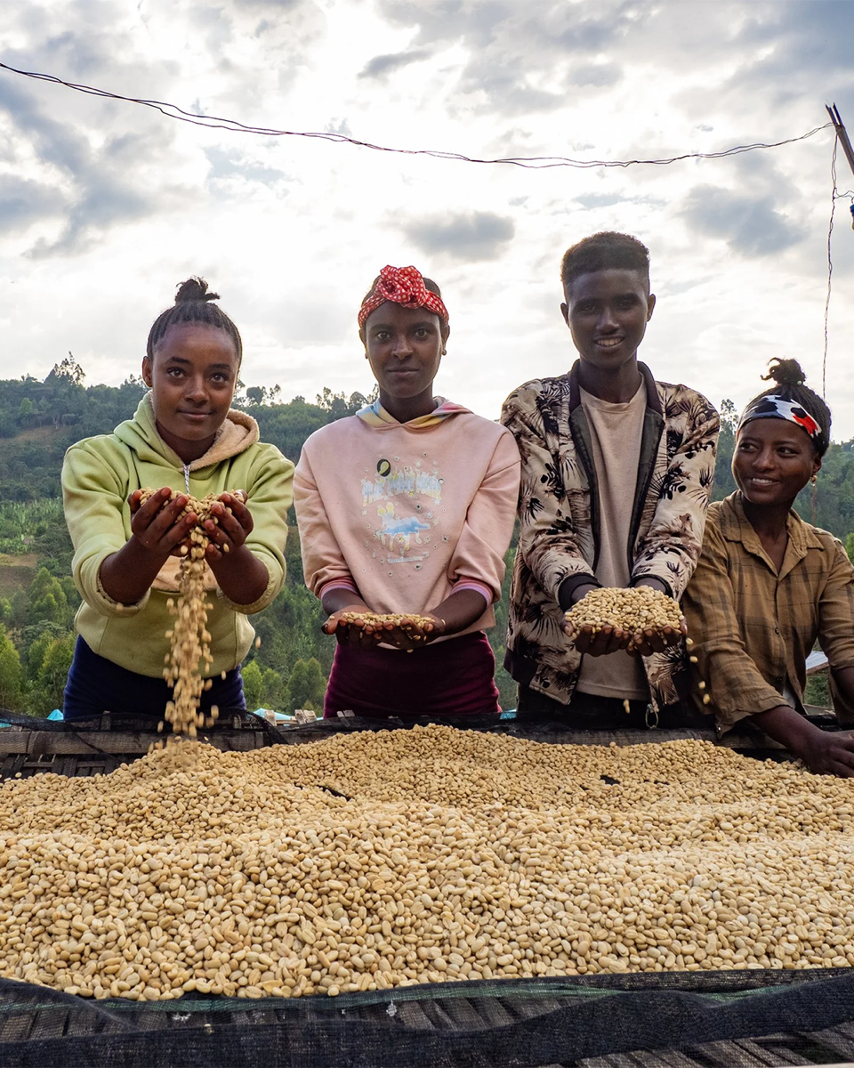 Hamasho Honey - Ethiopia