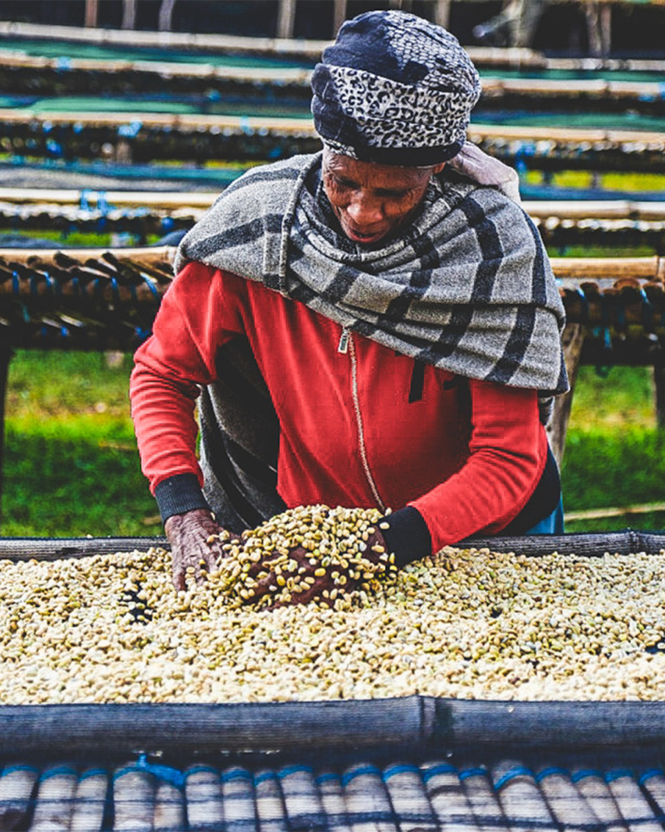 Bochesa Natural - Ethiopia