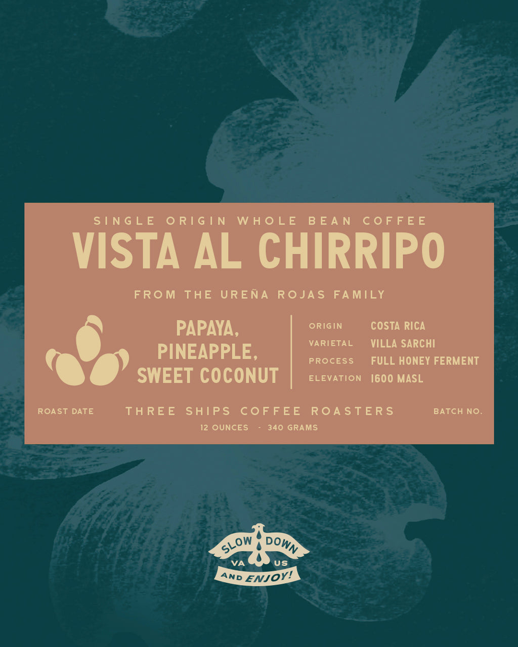 Vista Al Chirripo - Costa Rica