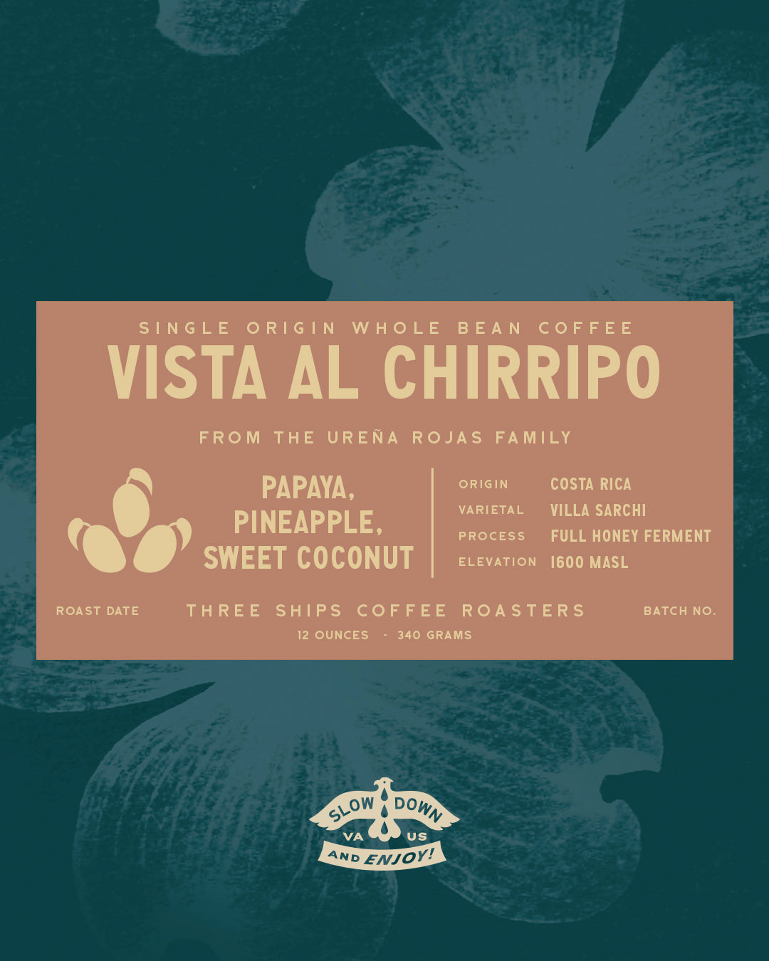 Vista Al Chirripo - Costa Rica