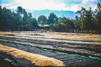 Udesa Fora - Ethiopia