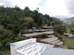 La Guaca - Costa Rica