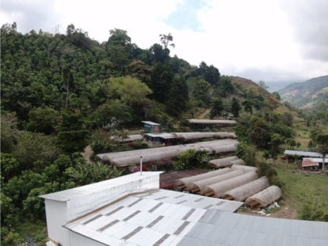 La Guaca - Costa Rica