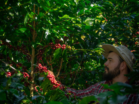 La Guaca - Costa Rica