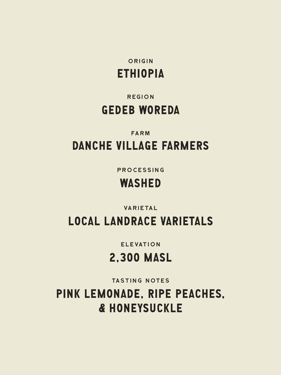 Danche Village - Ethiopia