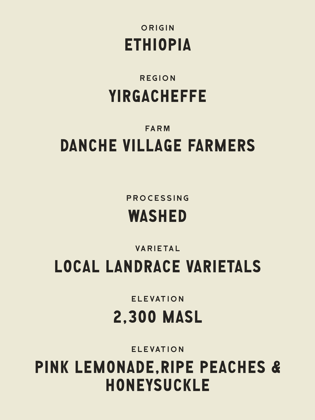 Danche Village - Ethiopia