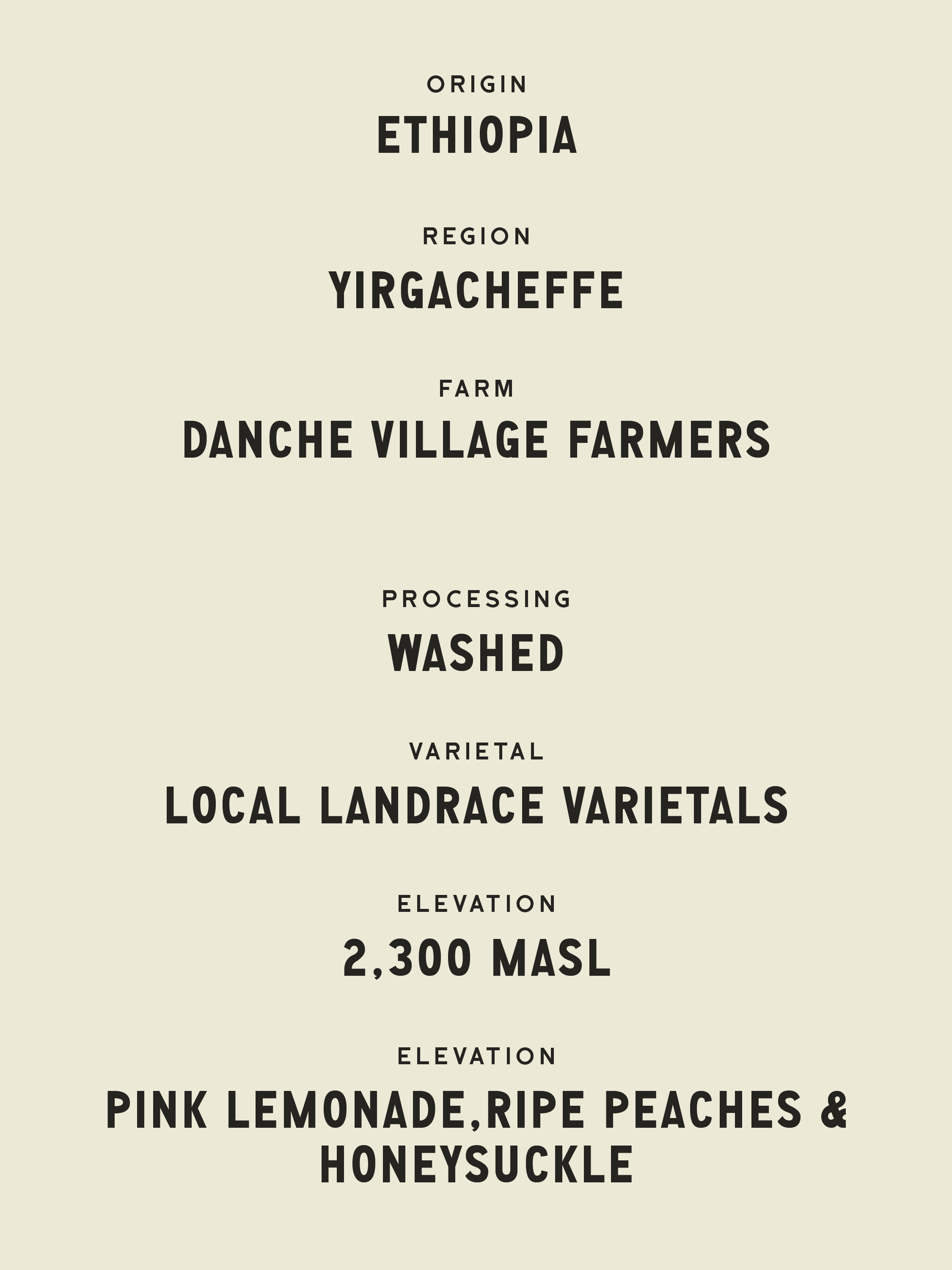 Danche Village - Ethiopia