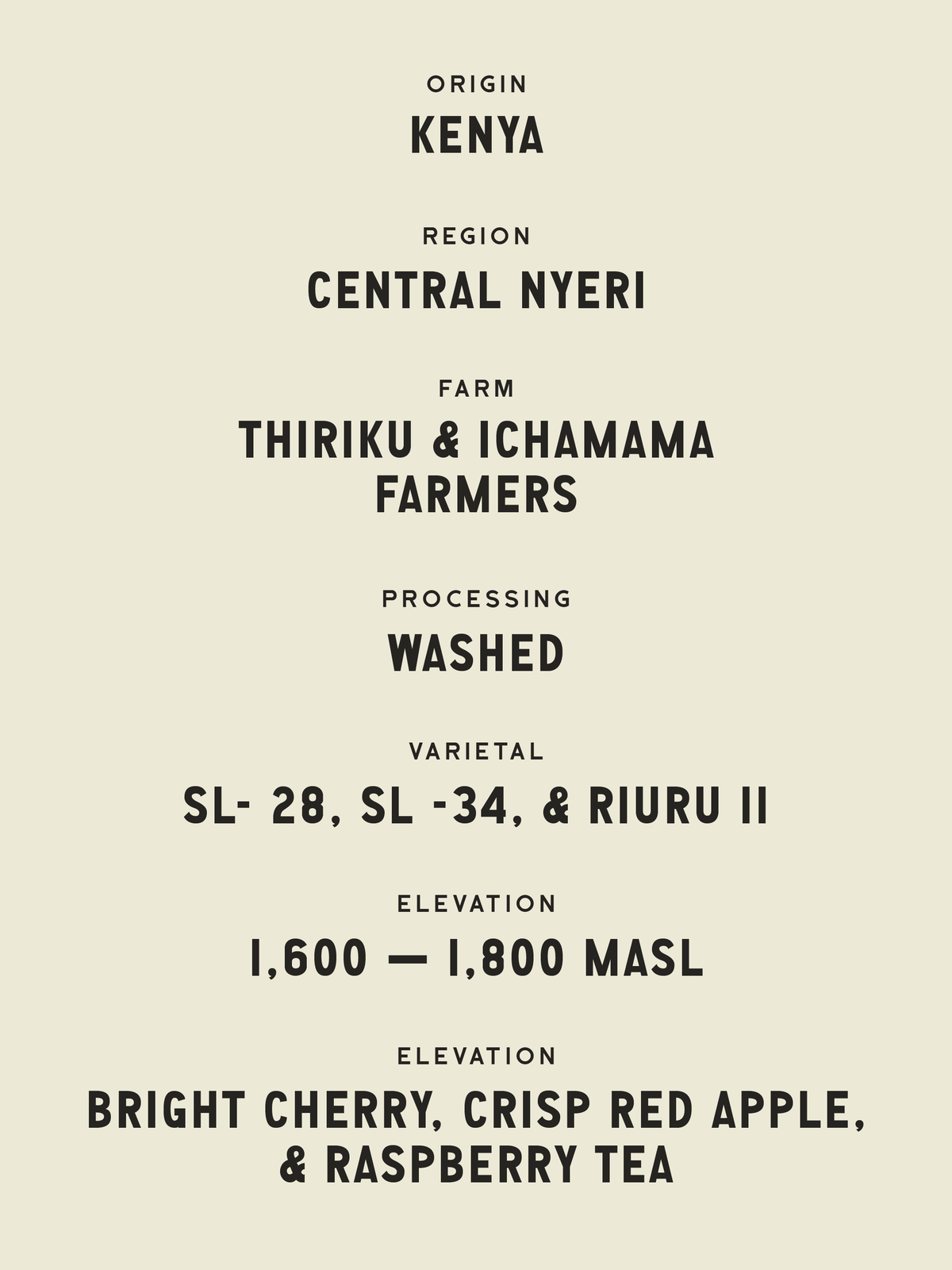Kamathura Washed - Kenya