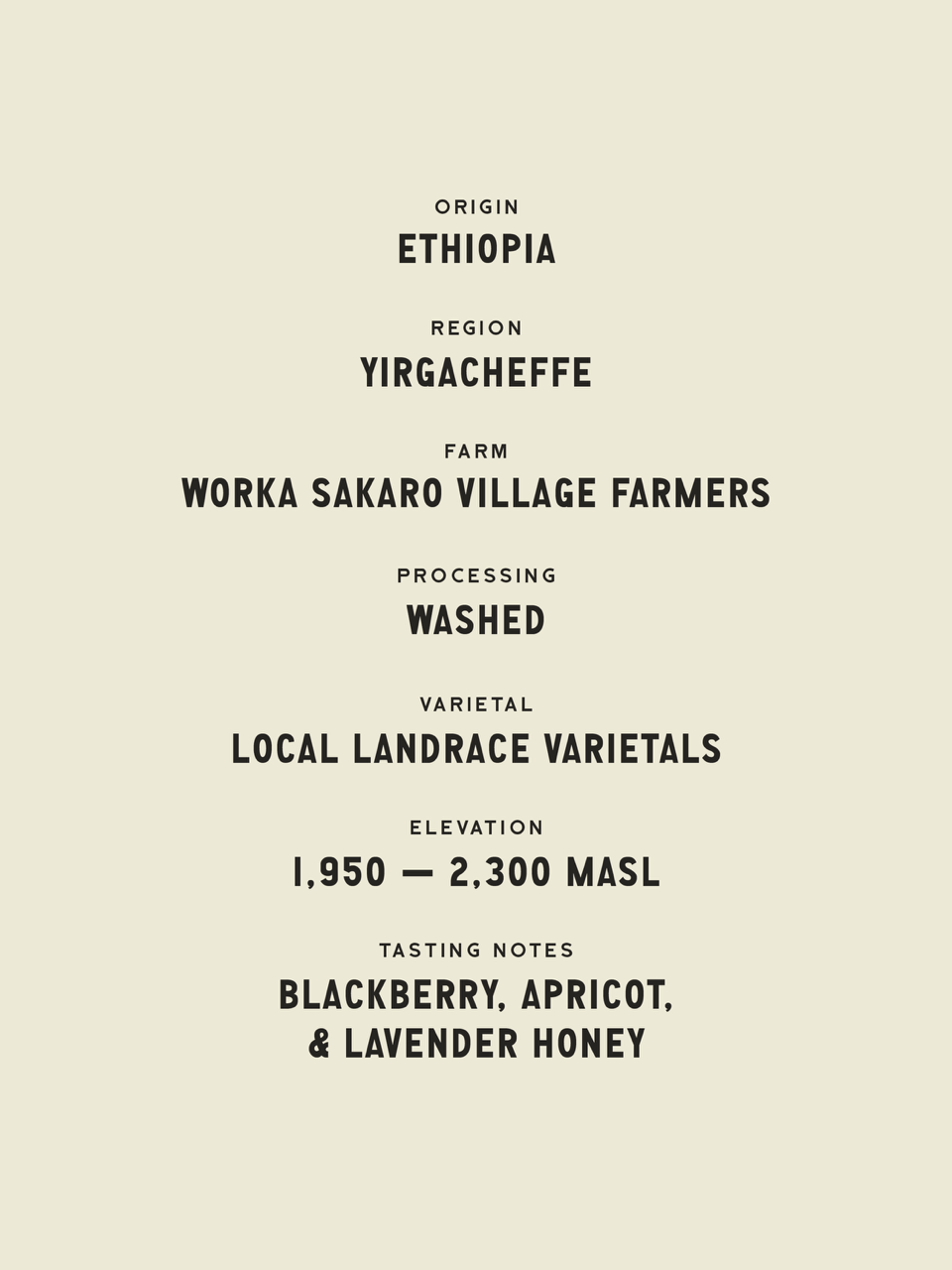 Worka Sakaro - Ethiopia