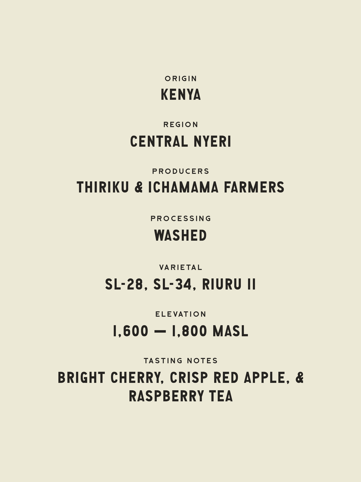Three Ships Coffee Roasters